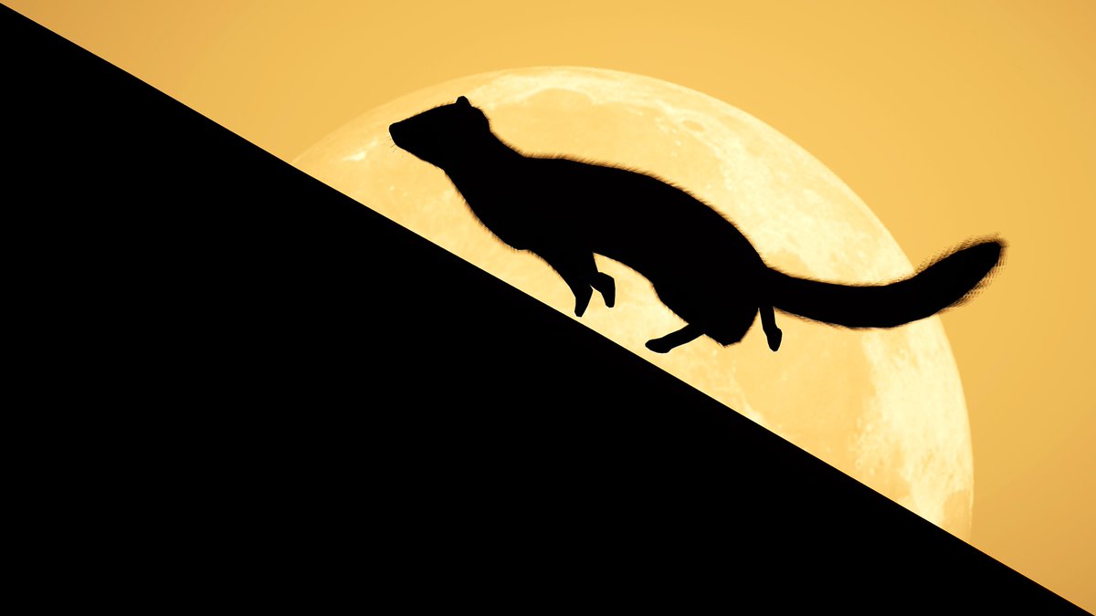 Juan | Photo Mode 📸 tweet media