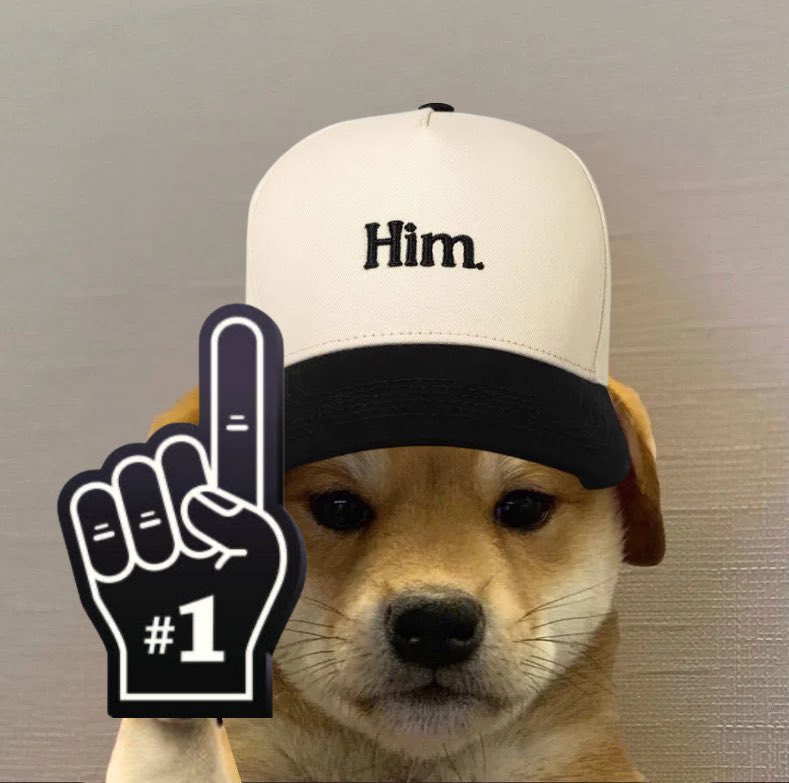 dogwifcoin tweet media