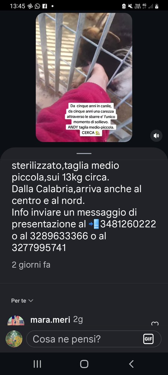 I CELLULARI PER CONDIVIDERE ANDY‼️‼️‼️🙏🙏🙏🙏🙏❤️❤️❤️❤️❤️