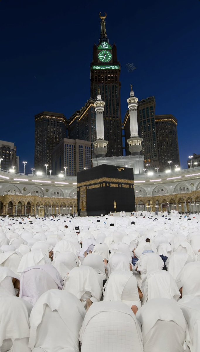 The Holy Mosques tweet media