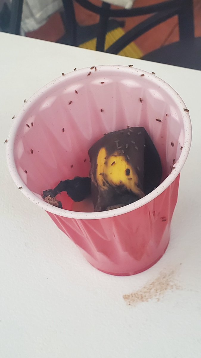 Belle 🤟👅🤟 tweet media