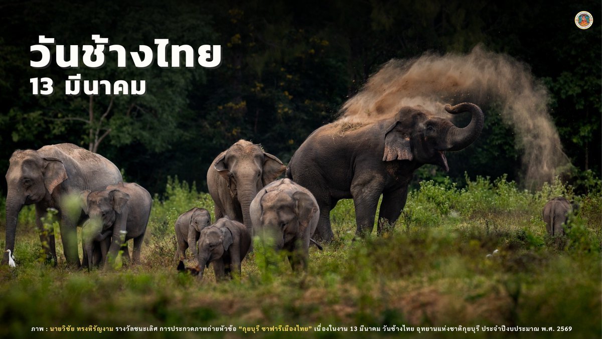 กรมอุทยานแห่งชาติ สัตว์ป่า และพันธุ์พืช tweet media