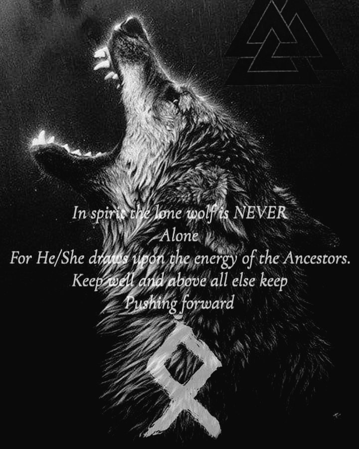 BloodOnBlack's tweet image. #Perseverance #HeathenPride
