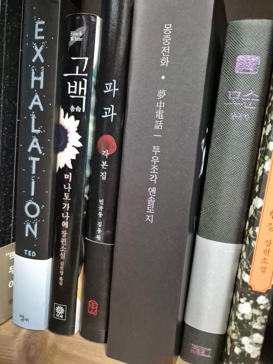 aclovenhoof's tweet photo. ㅎㅎ https://t.co/57DR9EwOzm