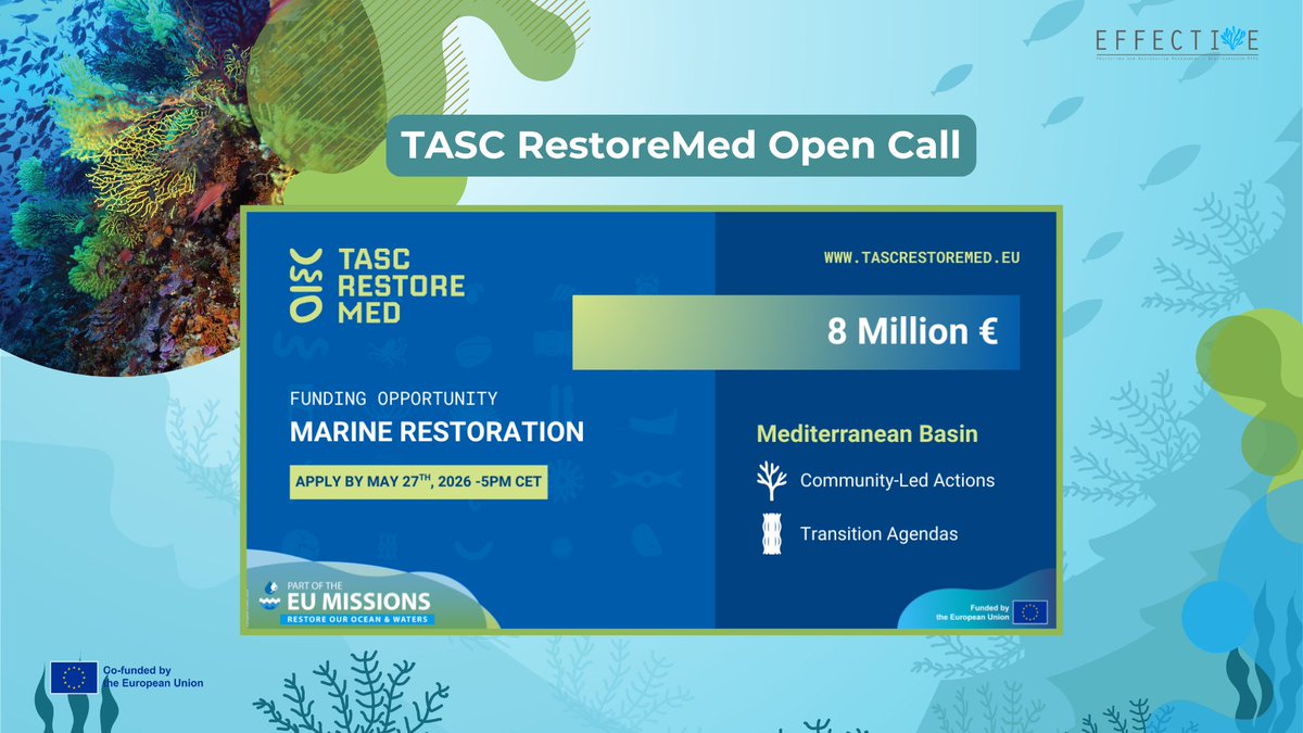 EFFECTIVE-Project tweet media