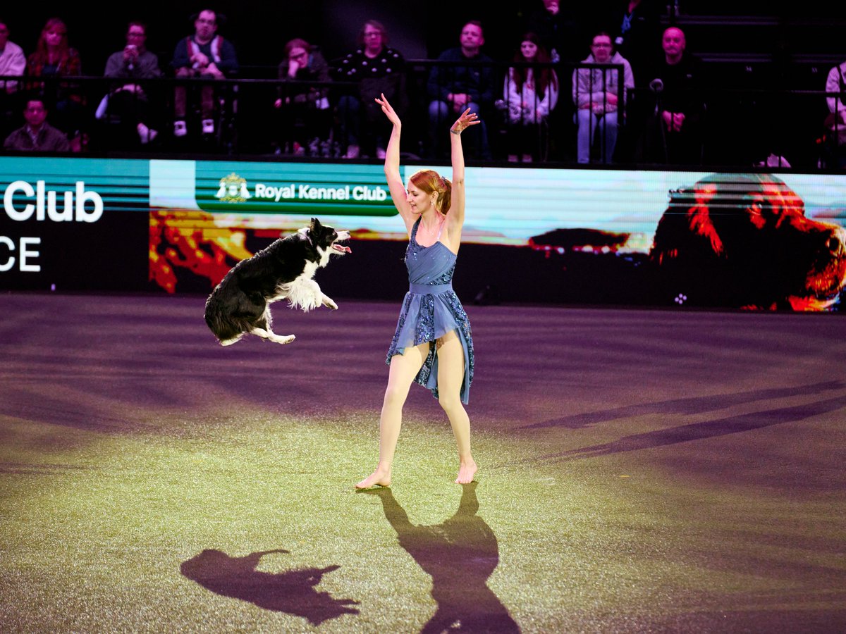 Birmingham Dispatch tweet media