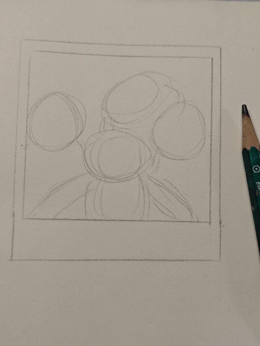 白给的小菜 tweet media