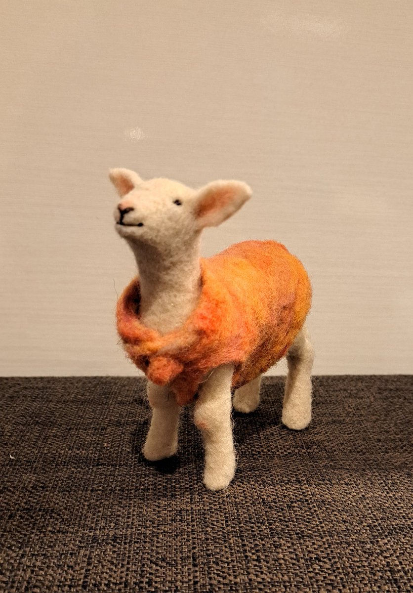 melemelesheep's tweet photo. 服着せた🐏 https://t.co/9VPnZ6MImj