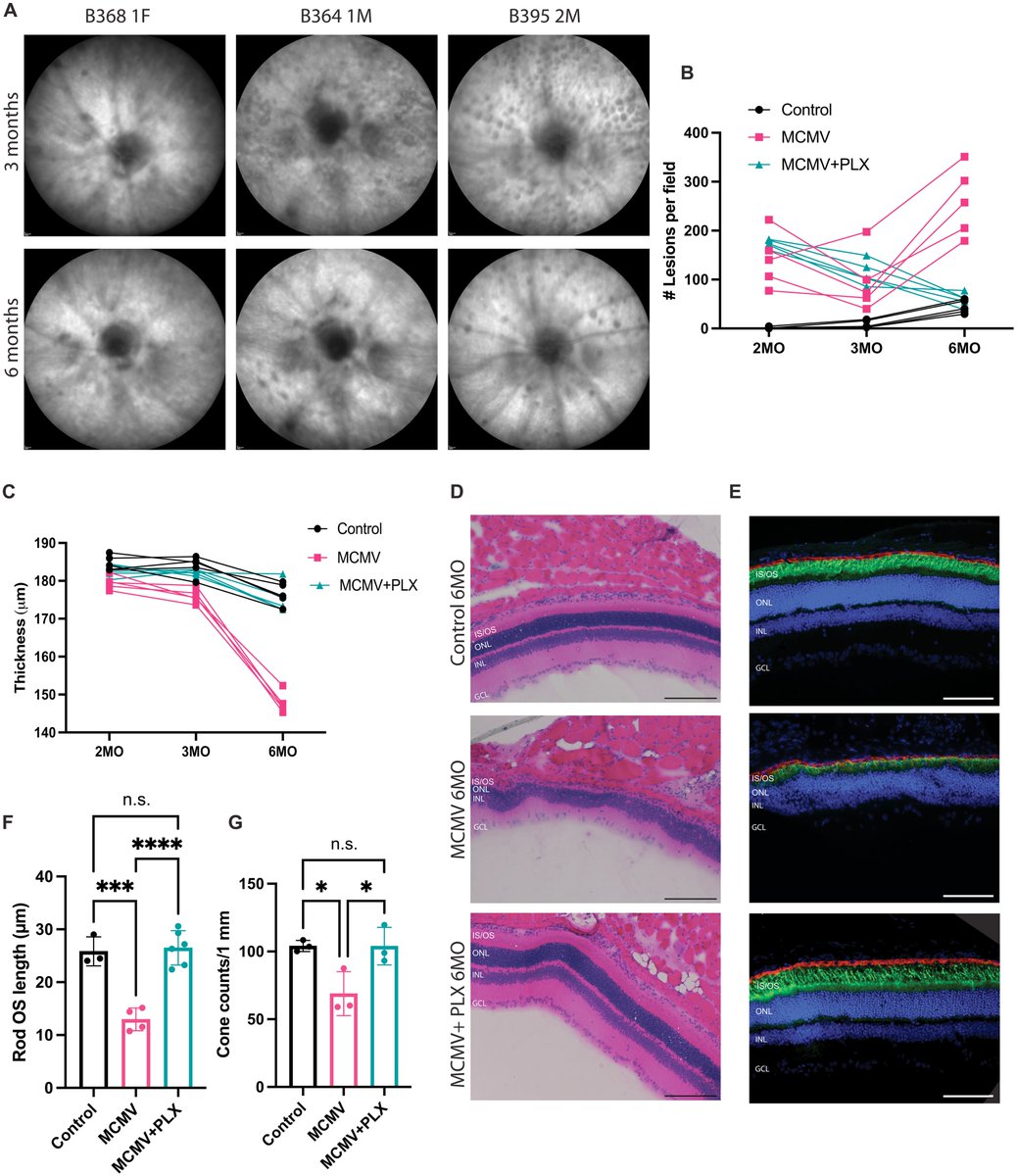 John Lukens tweet media