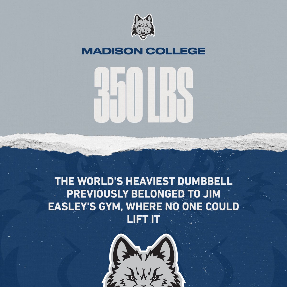 Madison College Rec tweet media