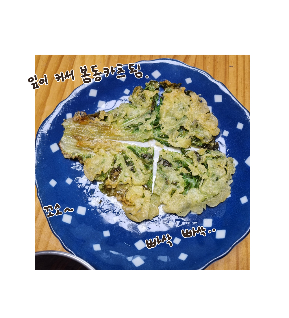 도토리대장 tweet media