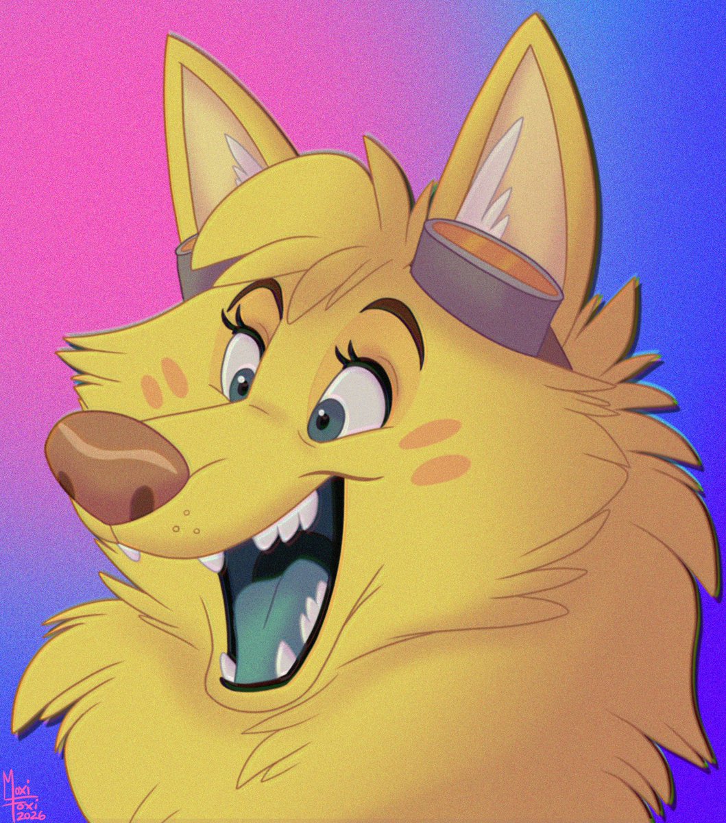 Moxi Foxi tweet media