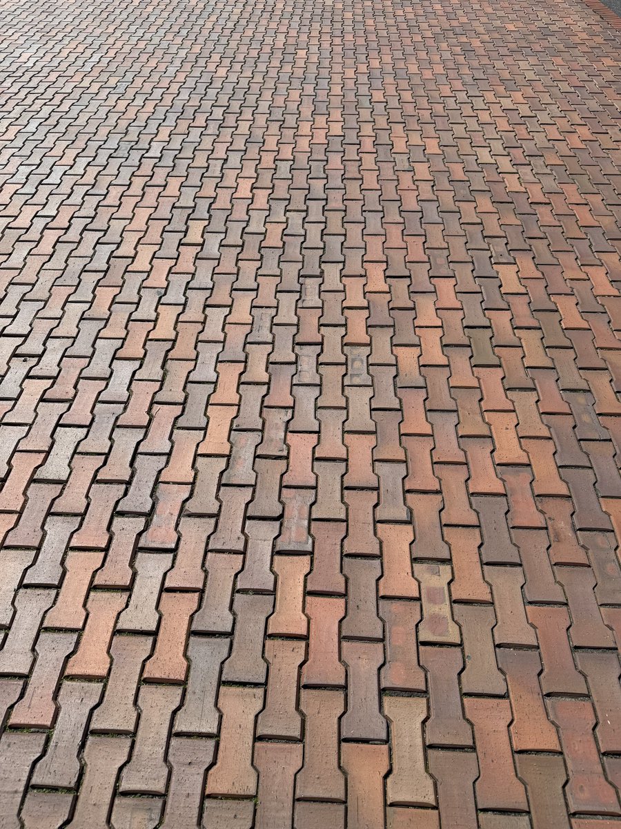 笠田研究室@金研 tweet media