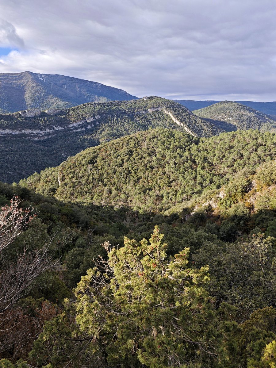 Al Filo Infrüngible tweet media