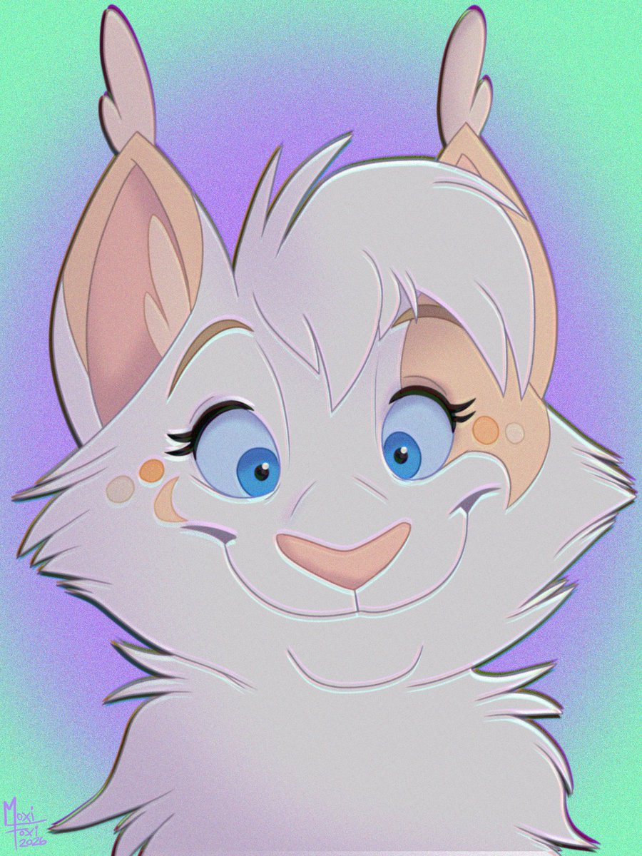 Moxi Foxi tweet media