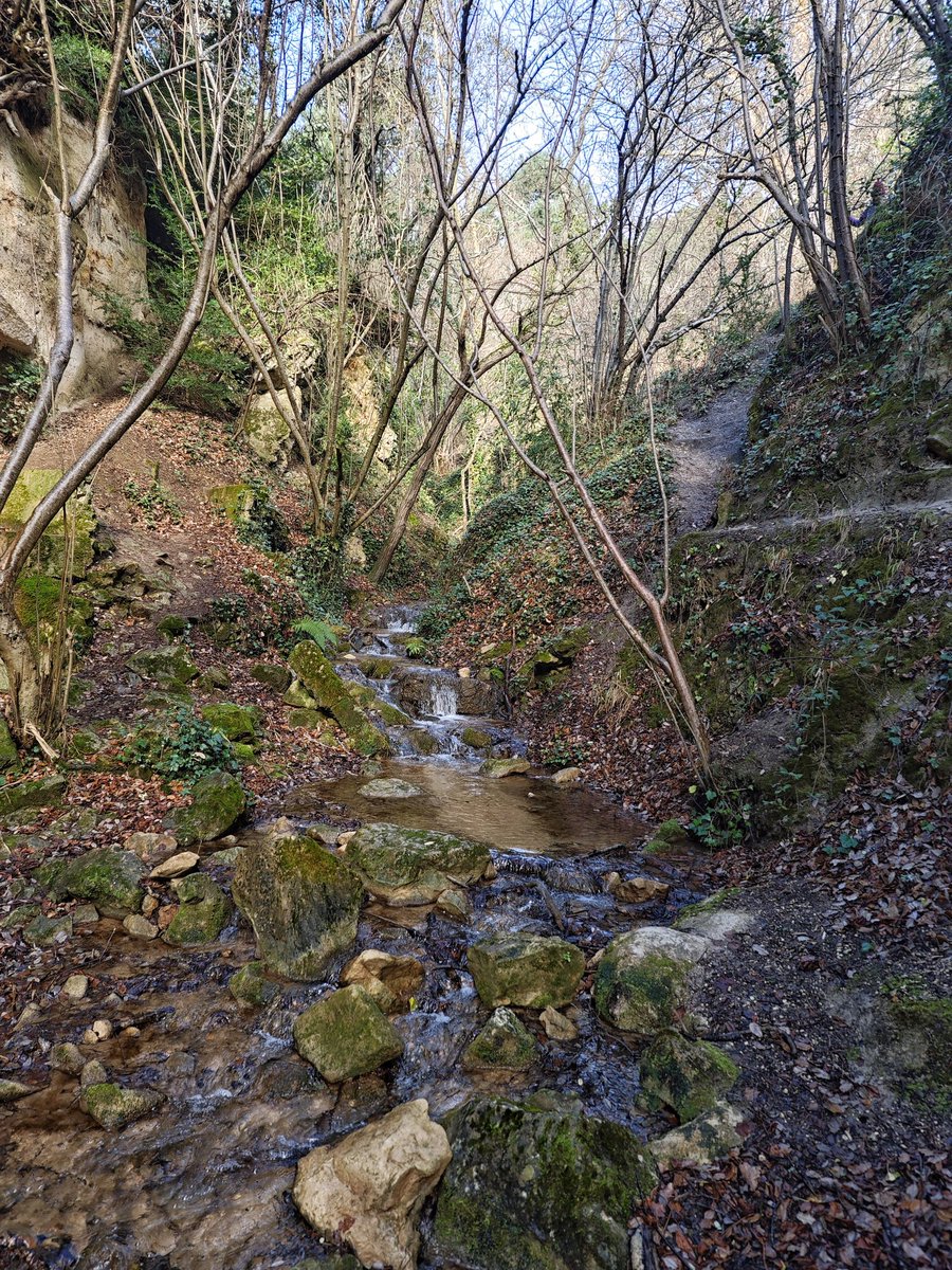 Al Filo Infrüngible tweet media