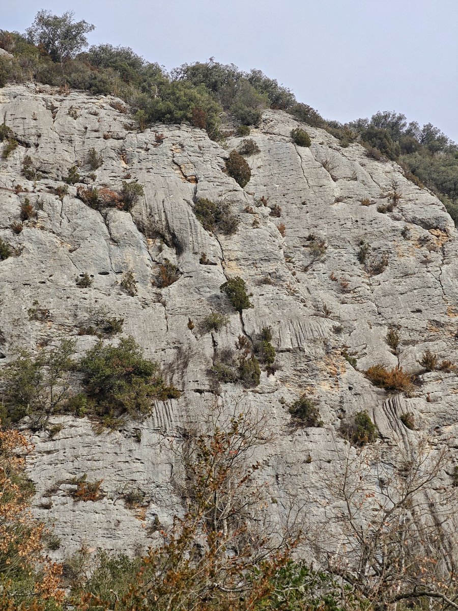 Al Filo Infrüngible tweet media