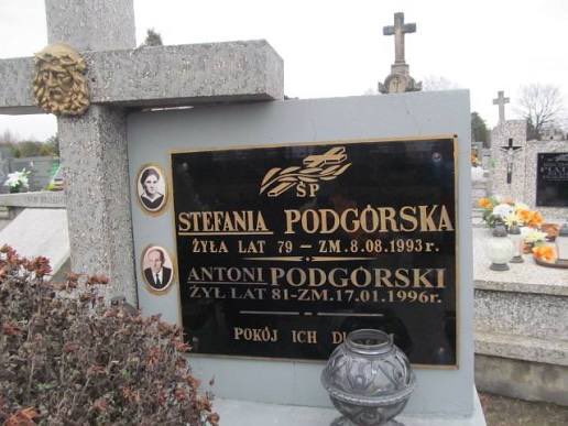 ⭕️Faerie ❤️ tweet media