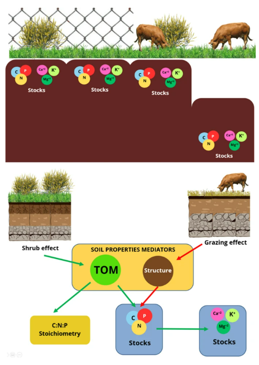 Daphne López-Marcos tweet media
