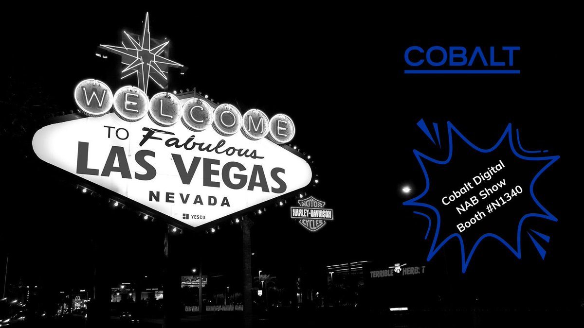 CobaltDigital tweet media