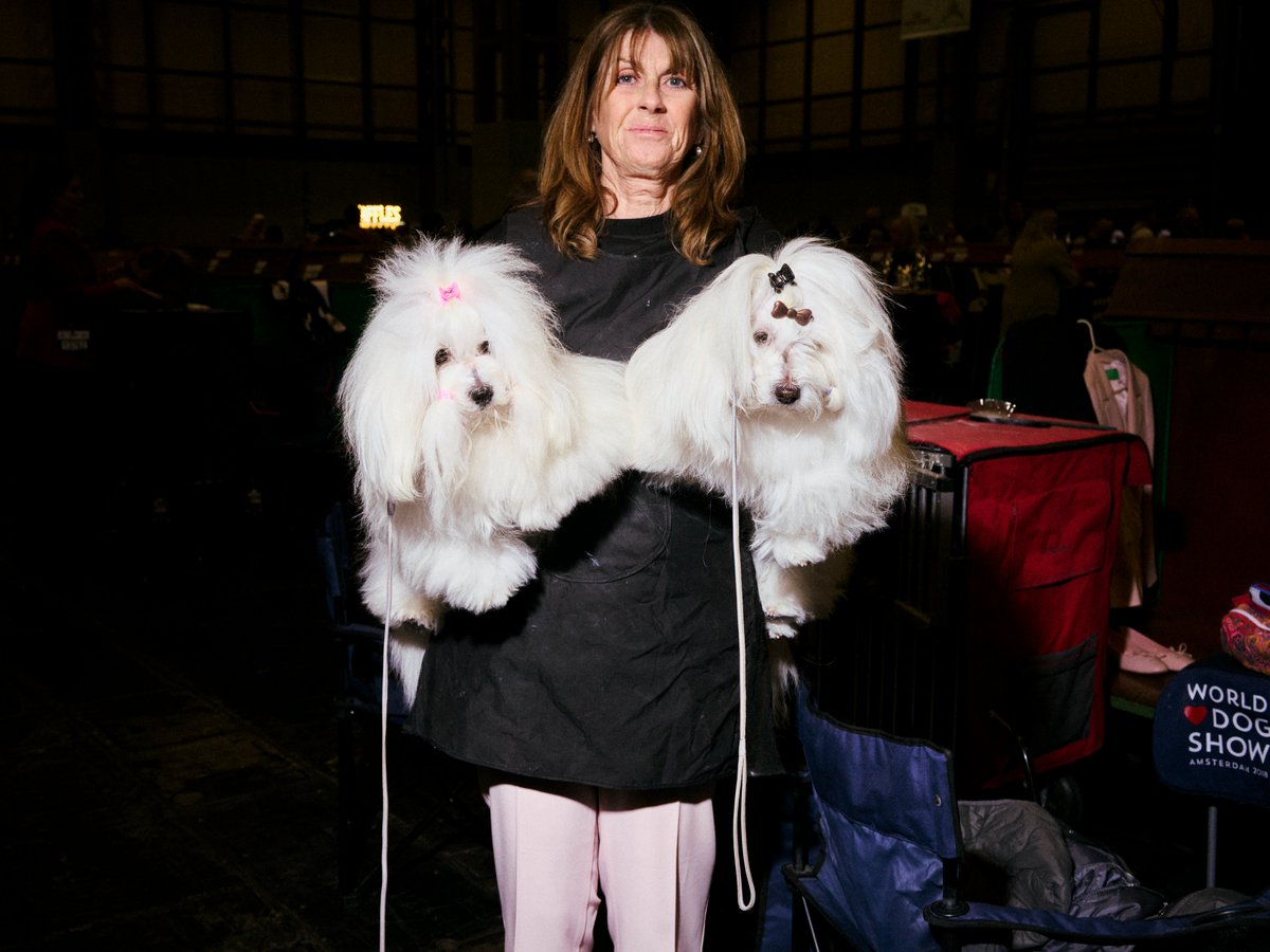 Birmingham Dispatch tweet media