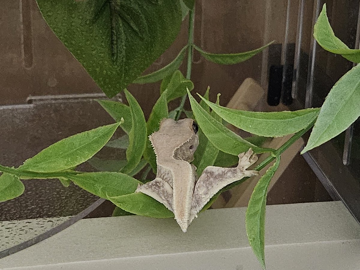 아래싸람 tweet media