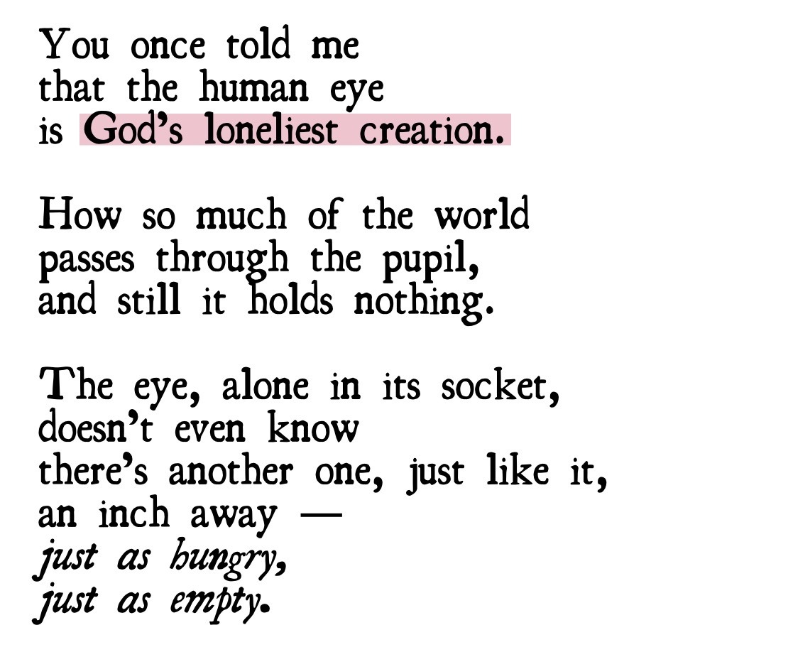 — Ocean Vuong, from On Earth We're Briefly Gorgeous (via lunamonchtuna)