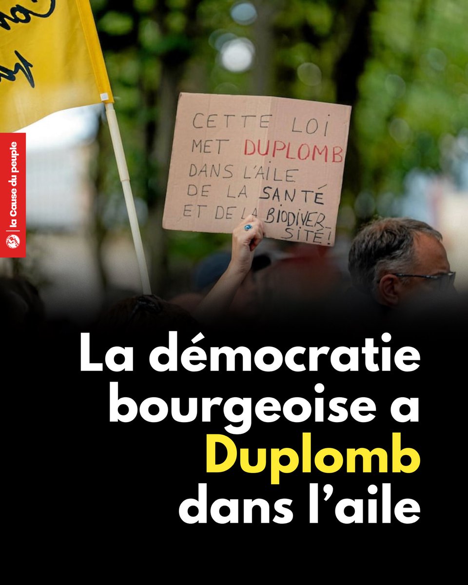 La Cause du Peuple tweet media