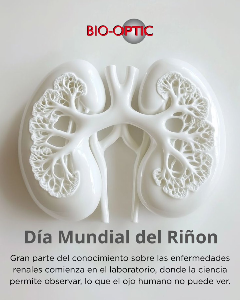 DÍA MUNDIAL DEL RIÑON.

Comprender las enfermedades renales comienza muchas veces en el laboratorio. 

La microscopía permite observar estructuras y tejidos fundamentales para el diagnóstico y la investigación en nefrología.

🔬 Bio-Optic
Tecnología que permite ver más allá.