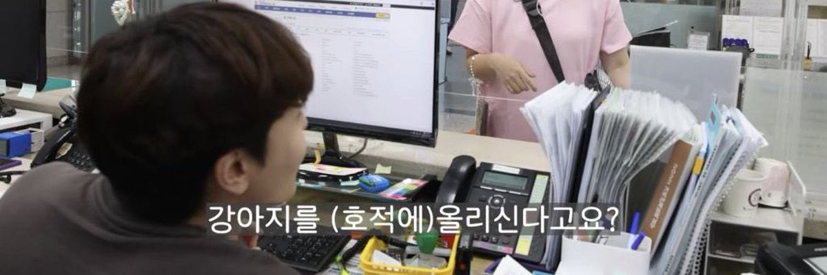 뀨야 tweet media