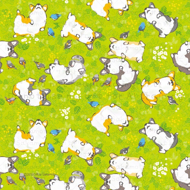 「#見つけてくれてありがとう祭開幕 コーギーと野鳥描いてます いつもいいねやリポス」|サカモトリエ/イラストレーターのイラスト