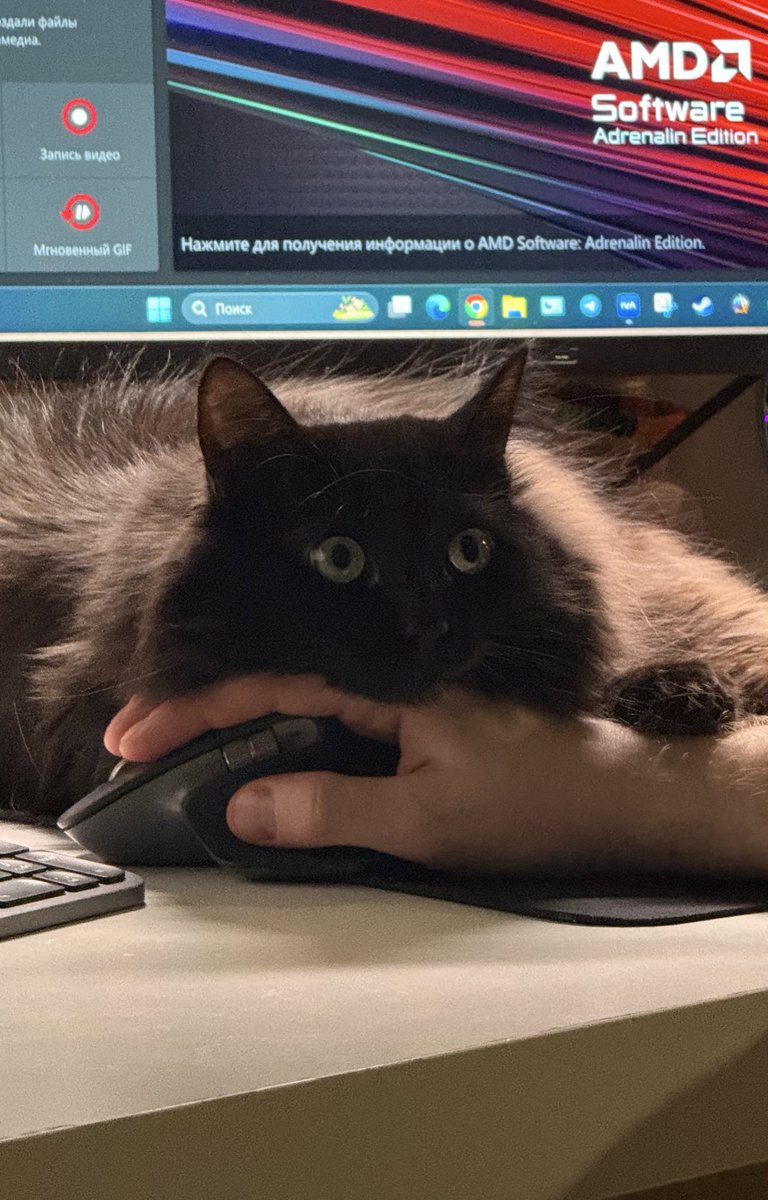 someone who has hope tweet media