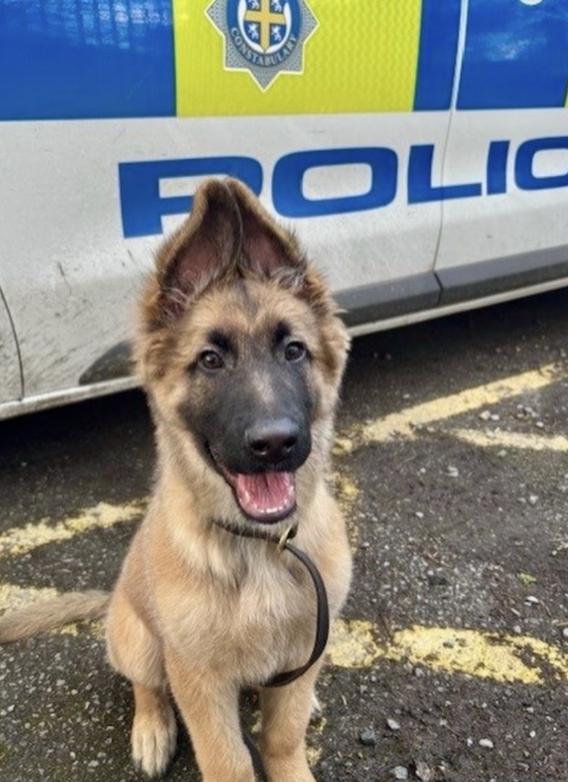 Police Mutual tweet media