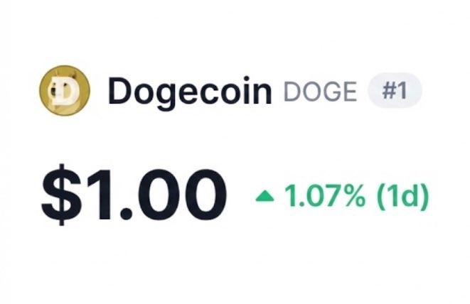 Sir Doge of the Coin ⚔️ tweet media