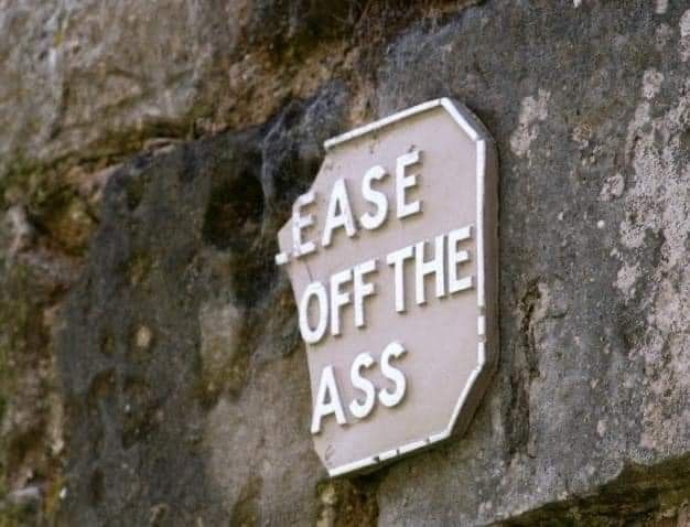 equine__dentist's tweet photo. don’t fucking tell me what to do https://t.co/mRmhQPd5LL