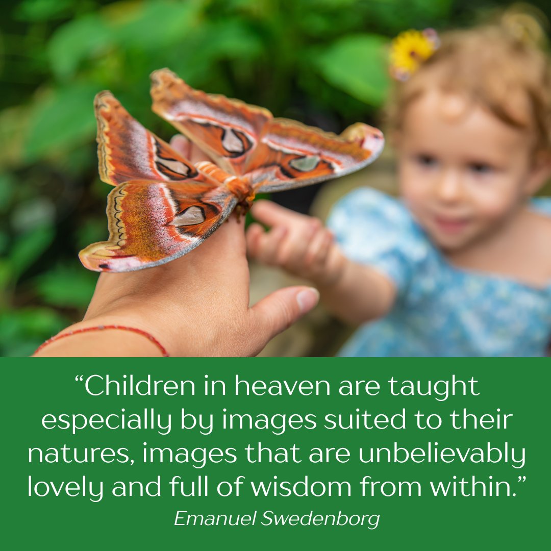 offTheLeftEye's tweet image. Thought for the day, from Swedenborg’s “Heaven and Hell” section 335
 #ThoughtForTheDay #HeavenAndHell #SpiritualWisdom