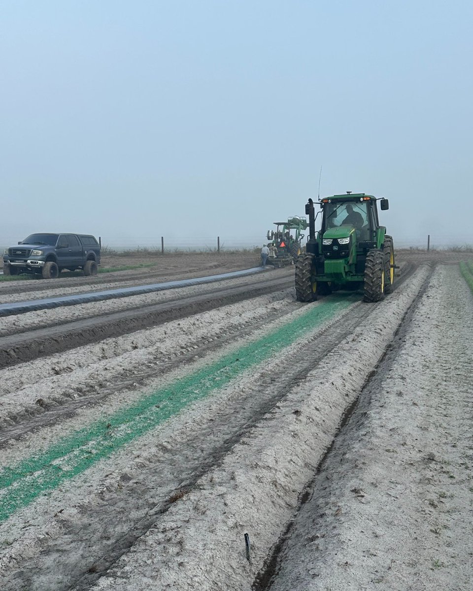 Harrell’s LLC tweet media