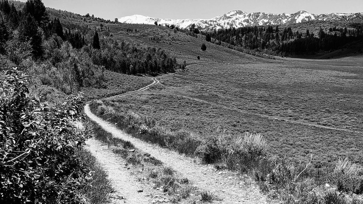 ElevatedSelfHQ's tweet photo. “Don't keep forever on the public road, going only where others have gone.”

- Alexander Graham Bell https://t.co/yBEGWo5YLo