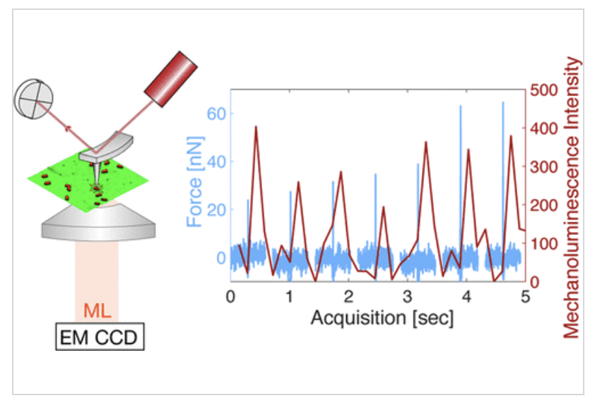 ACS Nano tweet media