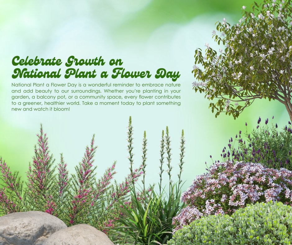 agingwithdd tweet media