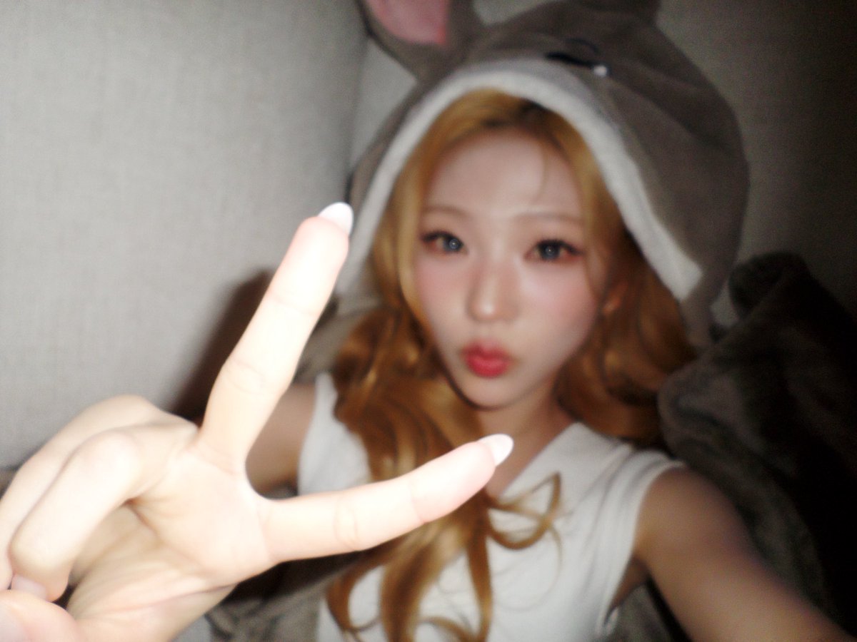 stella pics tweet media