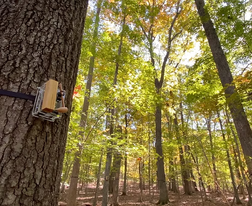 IAH at UNC tweet media