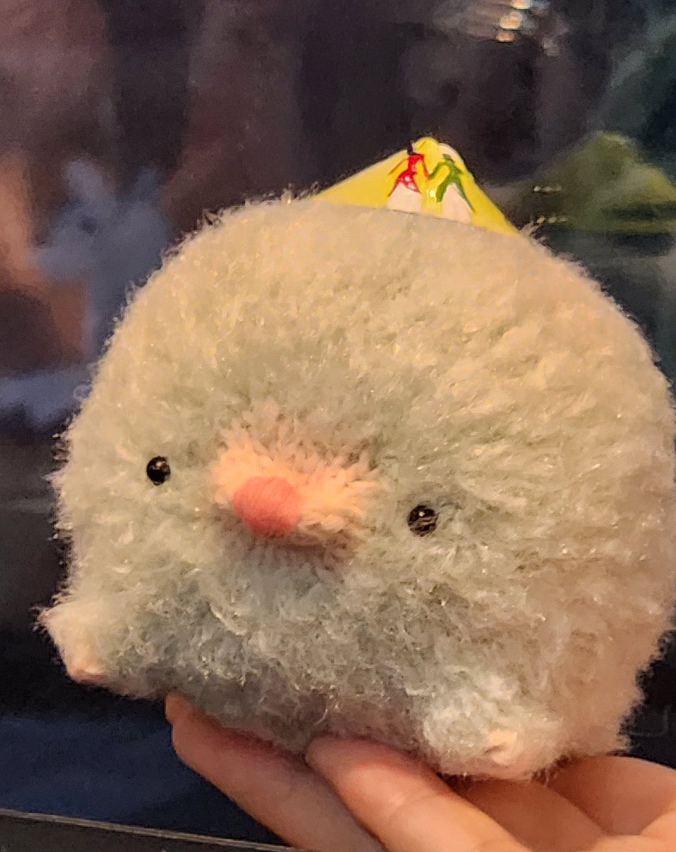 전뜨백🧶 tweet media