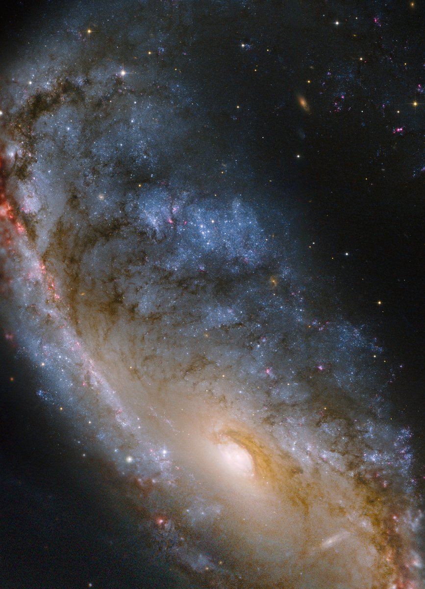 HUBBLE tweet media