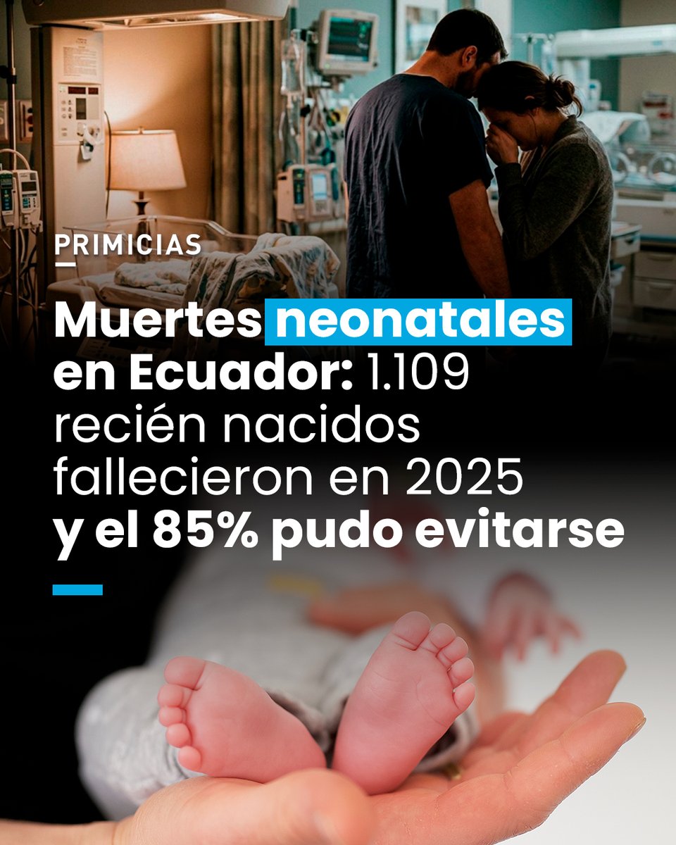 Primicias tweet media