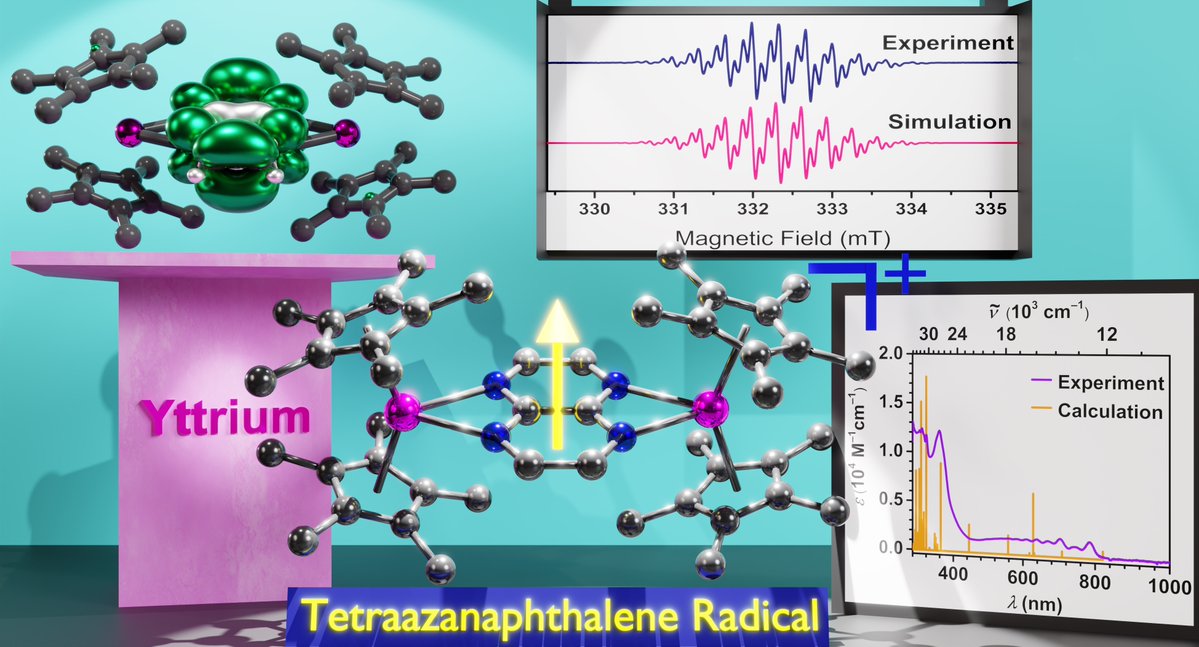 Selly Demir tweet media