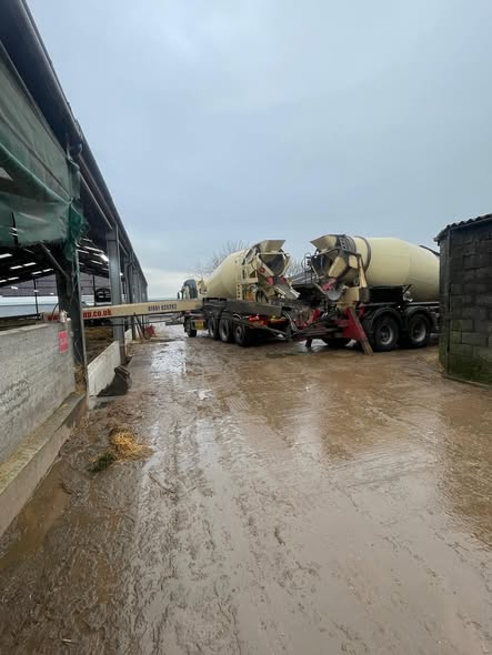 Tudor Griffiths Ltd tweet media