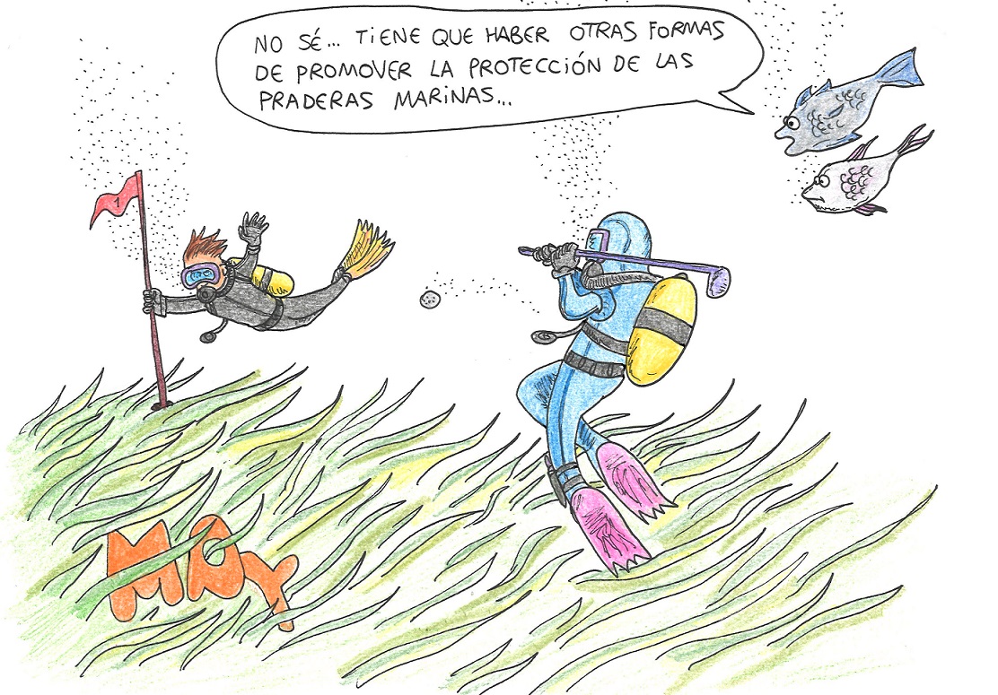 El Gobierno ha aprobado esta misma semana un Real Decreto para impulsar la conservación de las #praderas de #fanerógamas en el #mar #Mediterráneo. Constituyen uno de los #ecosistemas de mayor riqueza ecológica de las costas españolas. 
#posidonia #MundoMay
efeverde.com/cuidemos-prade…