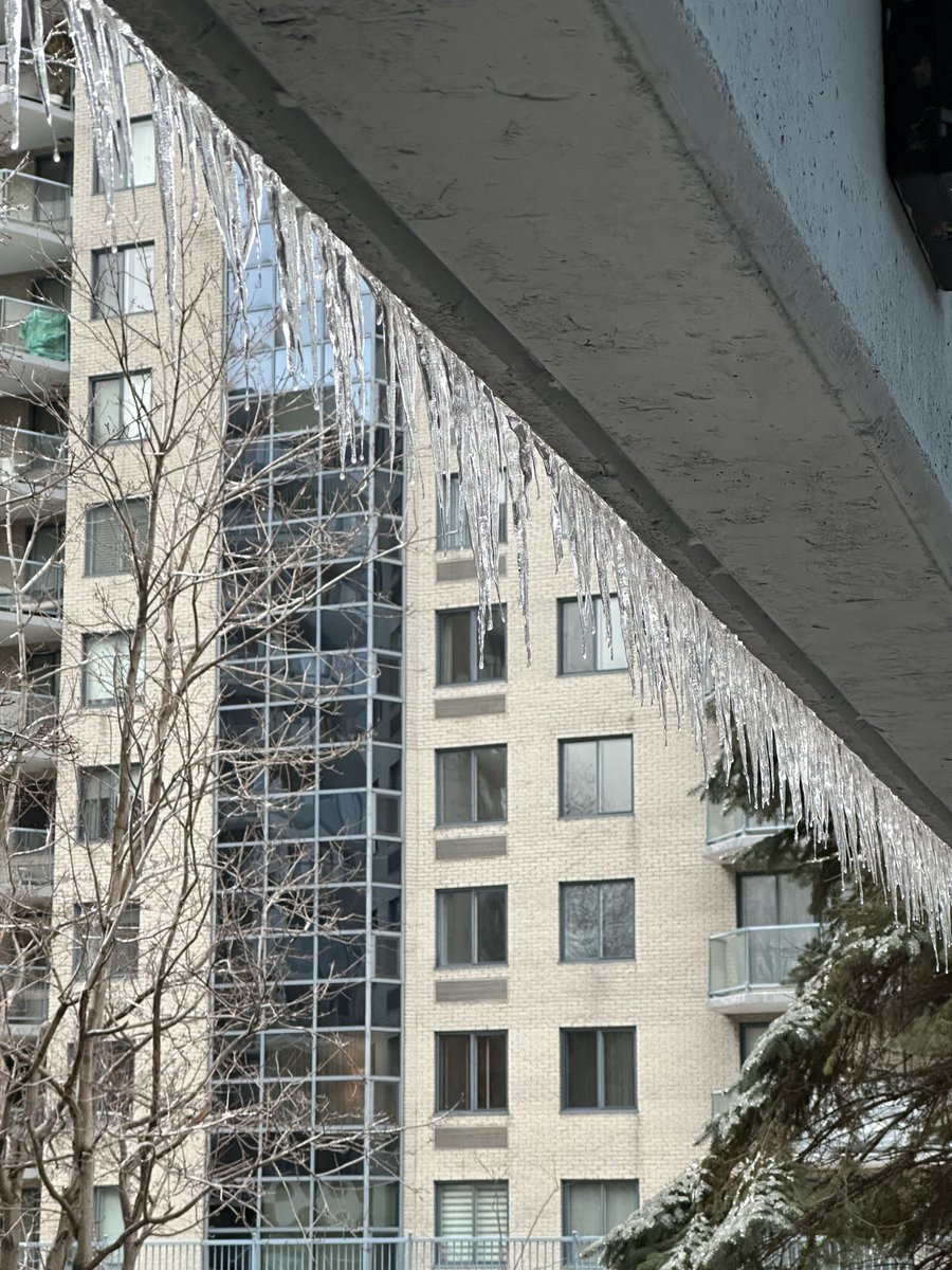 Verglas. ❄️

Saint-Lambert