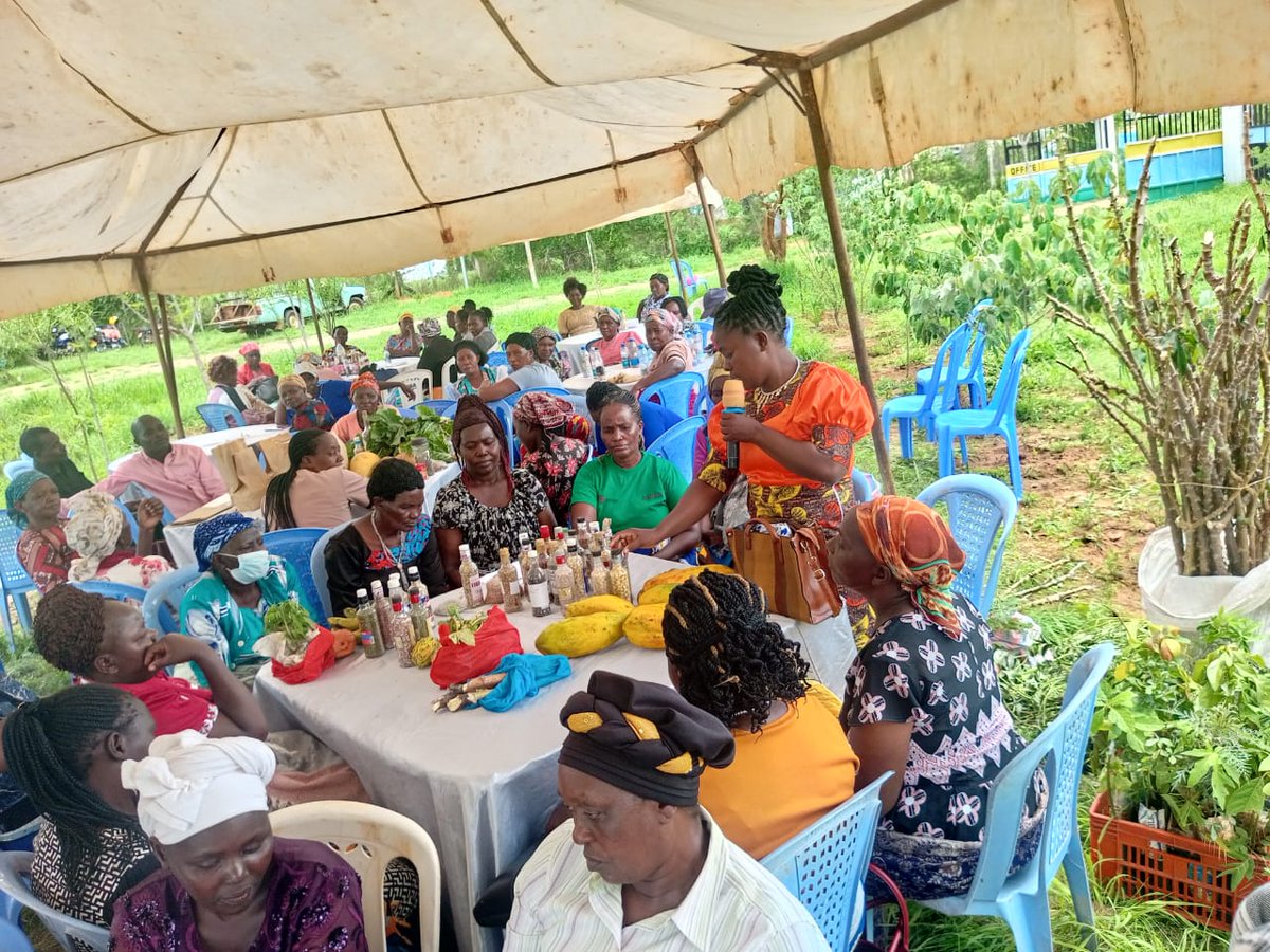 CaritasKitui's tweet photo. Wednesday, March 11th, 2026

SEED FAIR MASHINANI 2026

Integrated Risk Reduction Project (IRRP) team held a seed fair yesterday at Kavaini Sub Location ,Mwingi West Sub County.

#Seedfair2026
#IamCaritasKitui https://t.co/156UWIm5pD